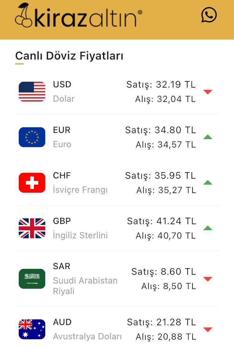 Konya’da altın fiyatları ve güncel döviz kurları I 13 Haziran 2024 8